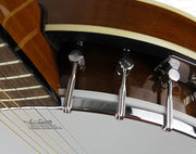 Freedom 6 String Banjo Full Size Remo Head BJ006 